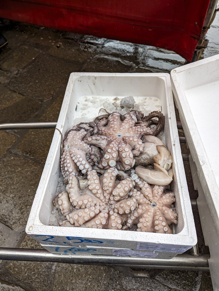 A cooler full of ice and octopi (octopus) seen from the bottom, upside-down in the ice.